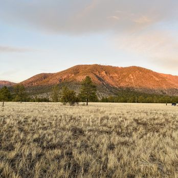Buffalo Park - Parks Near Me - Flagstaff, Arizona Buffalo Park - Parks Near Me - Flagstaff, Arizona