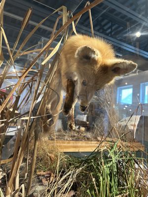 George B. Dorr Museum of Natural History by null