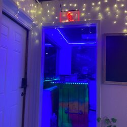 Infinity Shakes Snake Cafe - The entrance to the shake station!