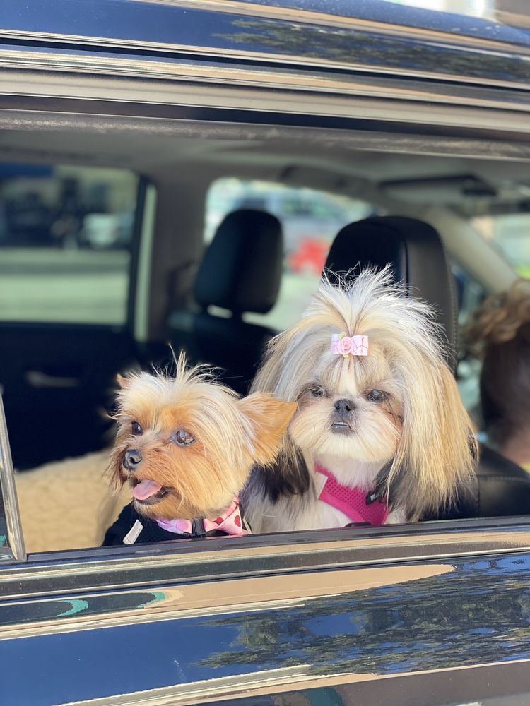 LEMOS FEED & PET SUPPLY Updated August 2024 24 Reviews 1491