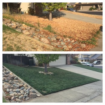 Cut Right Lawn Care - Gardeners Near Me - Roseville, California Cut Right Lawn Care - Gardeners Near Me - Roseville, California