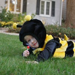 Rose Pest Solutions 2019 All You Need To Know Before Go Rose Pest Solutions 2019 All You Need To Know Before Go