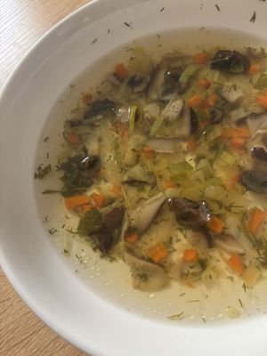 Amish & Healthy Foods by null