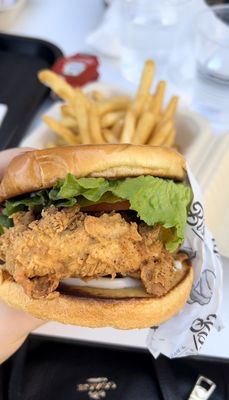 Winter Park Biscuit Company by null