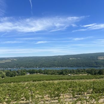 Bully Hill Vineyards - View of the lake from the parking lot - Wineries Near Me - Hammondsport, New York Bully Hill Vineyards - View of the lake from the parking lot - Wineries Near Me - Hammondsport, New York