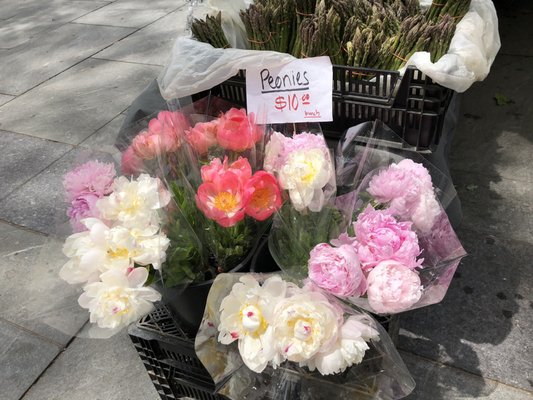 City Hall Park Greenmarket by null