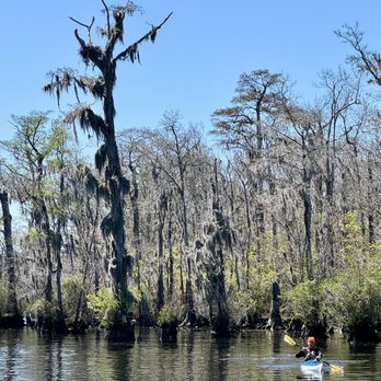 Waccamaw River Tours - Tours Near Me - Myrtle Beach, South Carolina Waccamaw River Tours - Tours Near Me - Myrtle Beach, South Carolina