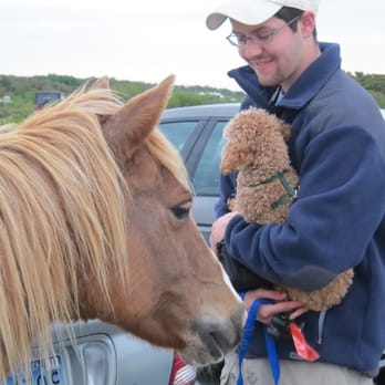 Assateague State Park - Trying to figure out if he should eat Charlie... - Parks Near Me - Berlin, Maryland
