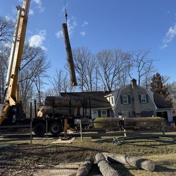 JC Tree Services, LLC - Large tree removal over a home using a crane.  Controlled lifts help protect the roof, fence, and surrounding yard. - Tree Services Near Me - Silver Spring, Maryland