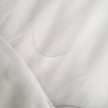 Tru by Hilton Saint Joseph - Another hair on the bed! - Hotels Near Me - Stevensville, Michigan Tru by Hilton Saint Joseph - Another hair on the bed! - Hotels Near Me - Stevensville, Michigan