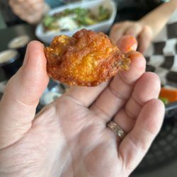 The Blanca Tatanka - Disappointing wing size.