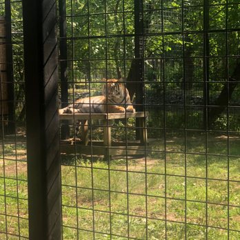 Cohanzick Zoo - Zoos Near Me - Bridgeton, New Jersey
