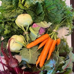 Ruston Farmer's Market