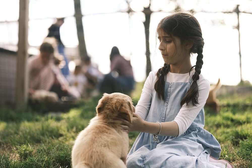 GOLDSCHEIN’S HOMESTEAD Updated September 2024 22 Photos 196