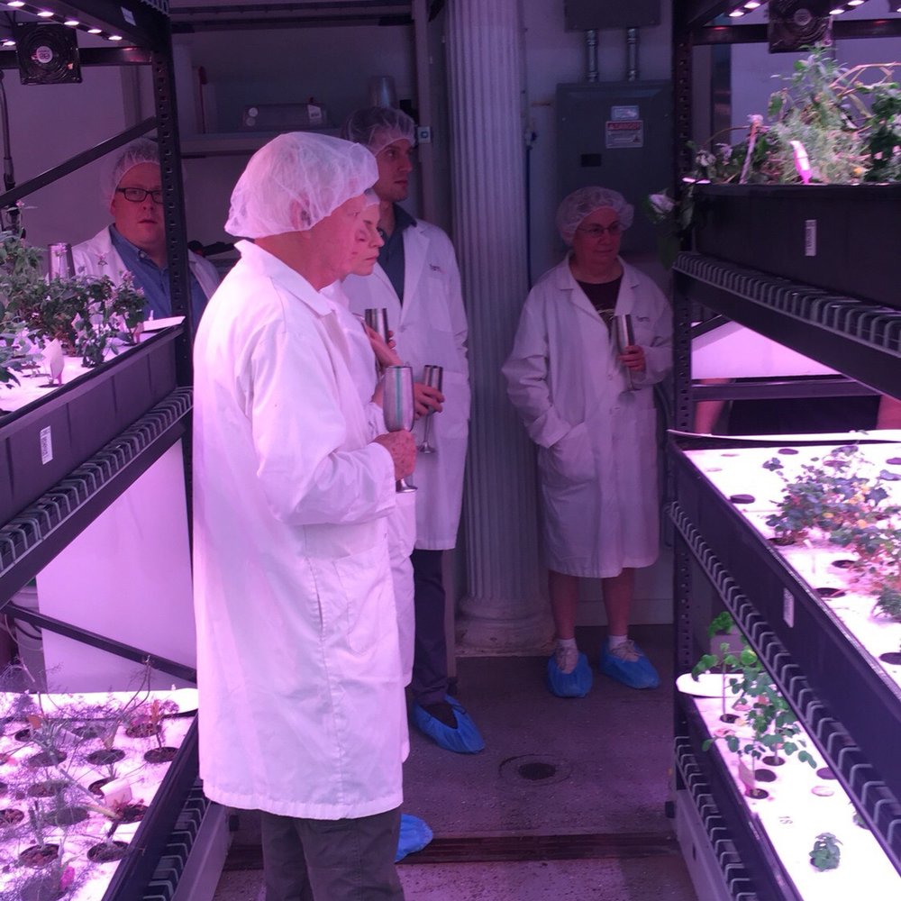 Farm.One - Farms Near Me - Brooklyn, New York Farm.One - Farms Near Me - Brooklyn, New York