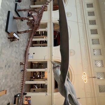 Field Museum - Museums Near Me - Chicago, Illinois
