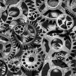 Bayview Transmission & Repair