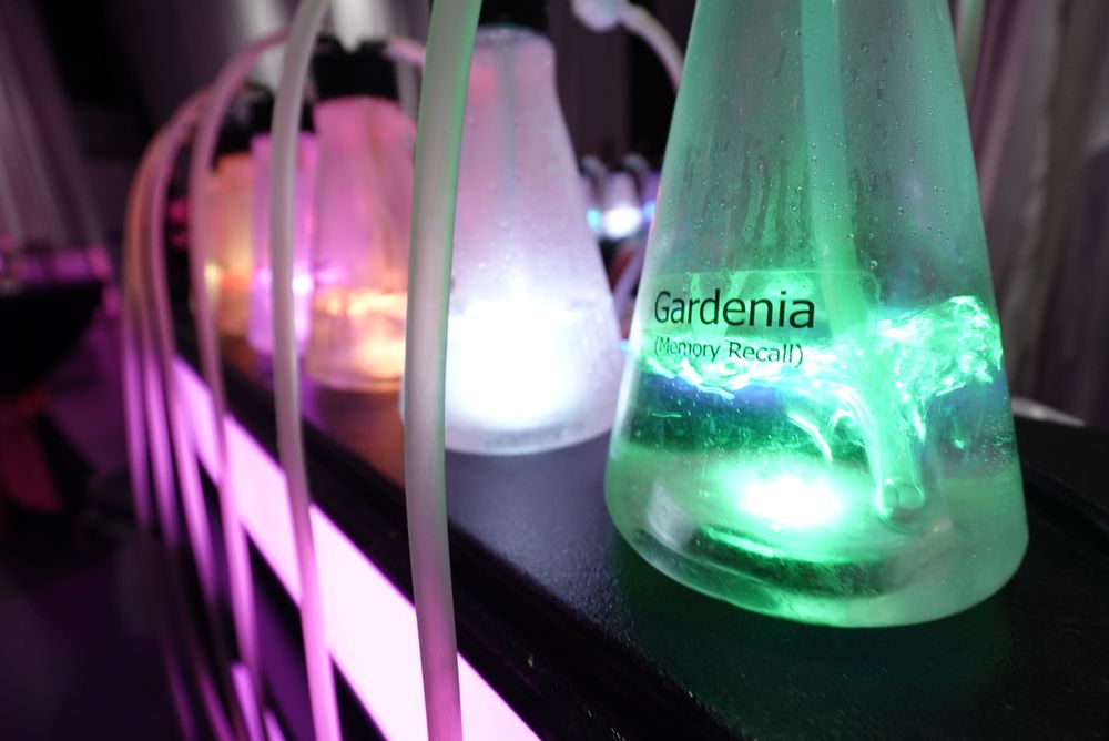 The Atlanta Oxygen Bar