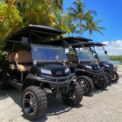 Salty Wheels - Call (239)247-2393 to reserve your Salty Wheels cart today!