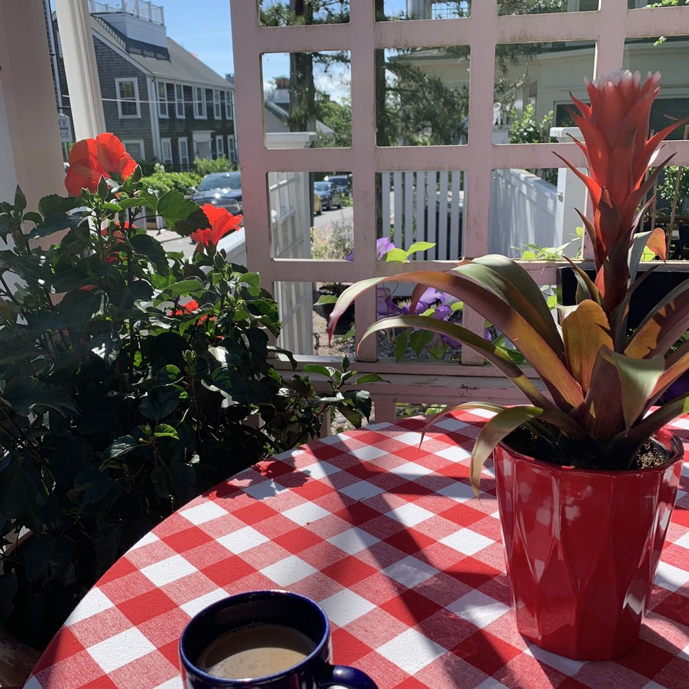 Century House - My morning coffee view. - Bed & Breakfast Near Me - Nantucket, Massachusetts