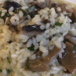Alecrim no Prato - Risotto with mushrooms