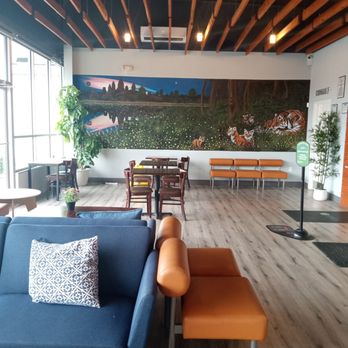 Daily Dose Craft Bar - Coffee & Tea Near Me - Jacksonville, Florida