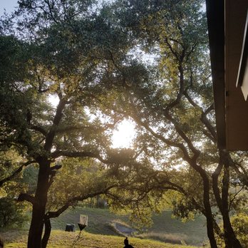 Hops & Thyme - Beer Gardens Near Me - Lakeway, Texas