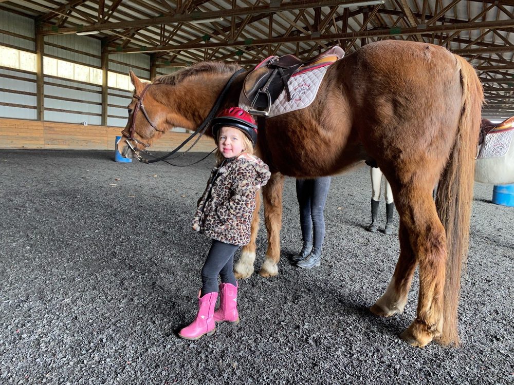 Rolling Rock Farm - equestrian in Sherwood, OR