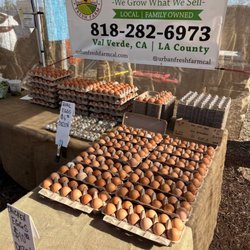 Urban Fresh Farm