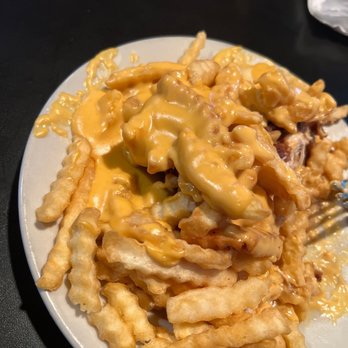 The Dublin Pub - Chicken pony shoe - Pubs Near Me - Springfield, Illinois The Dublin Pub - Chicken pony shoe - Pubs Near Me - Springfield, Illinois