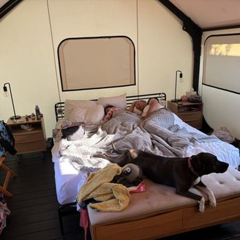 AutoCamp Yosemite - Tent king bed - Hotels Near Me - Midpines, California AutoCamp Yosemite - Tent king bed - Hotels Near Me - Midpines, California
