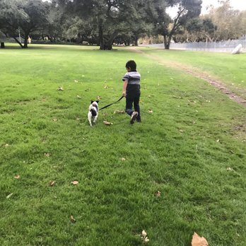 Pasadena Humane - Animal Shelters Near Me - Pasadena, California