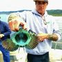 Hooked On Mendo Charters