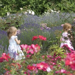 Waltham Abbey Gardens