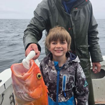 North Country Halibut Charters - Fishing Near Me - Homer, Alaska North Country Halibut Charters - Fishing Near Me - Homer, Alaska