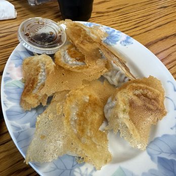 A One Noodle & Dumpling - Pan Fried Pork Dumpling - Noodles Near Me - Pembroke Pines, Florida