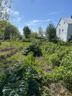 Tea House l'Île d'Orléans by null