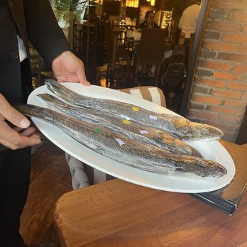 Puerto Madero - Fish to be decided on - Argentine Near Me - México, D.F., DIF Puerto Madero - Fish to be decided on - Argentine Near Me - México, D.F., DIF