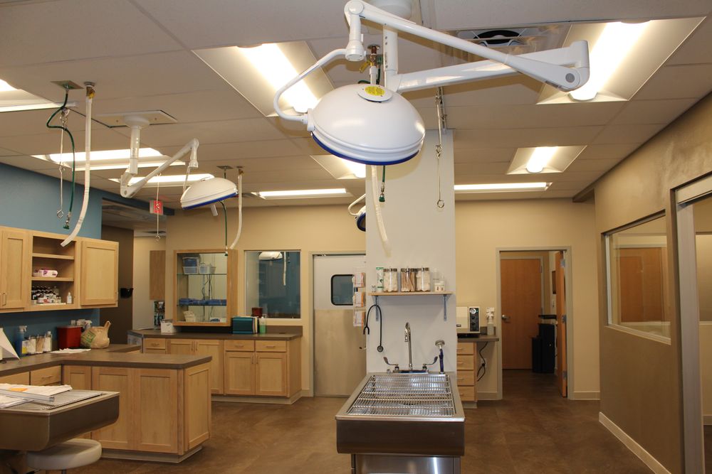 CanyonVet New Braunfels - pet boarding facility in New Braunfels, TX