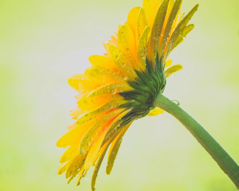 CROSBY PHOTOGRAPHY 292 Whitaker Rd, Shelbyville, TN Yelp