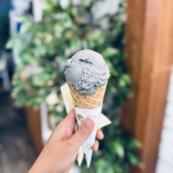 Noble Folk Ice Cream & Pie Bar - Sesame ice cream