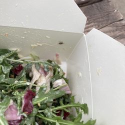 Arrosto - Arrosto Salad With Bugs