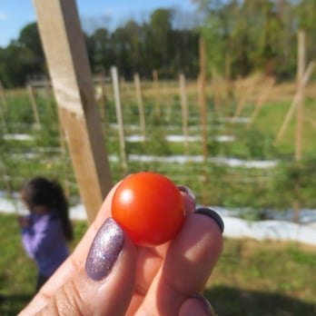 Riamede Farm - Pick Your Own Farms Near Me - Chester, New Jersey Riamede Farm - Pick Your Own Farms Near Me - Chester, New Jersey