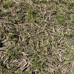 Thunder Basin Hydroseed