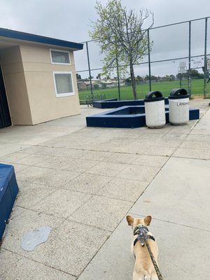 Penn Athletic Field by null