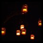 Photo of Art in the Dark