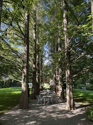 A Room at the Beach by null