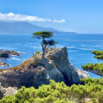 Coastal Ebike Connection - 17 mile drive. Lone cypress - Bike Rentals Near Me Coastal Ebike Connection - 17 mile drive. Lone cypress - Bike Rentals Near Me