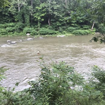 Rail Explorers - Catskills Division - The creek. View is eh. - Tours Near Me - Phoenicia, New York