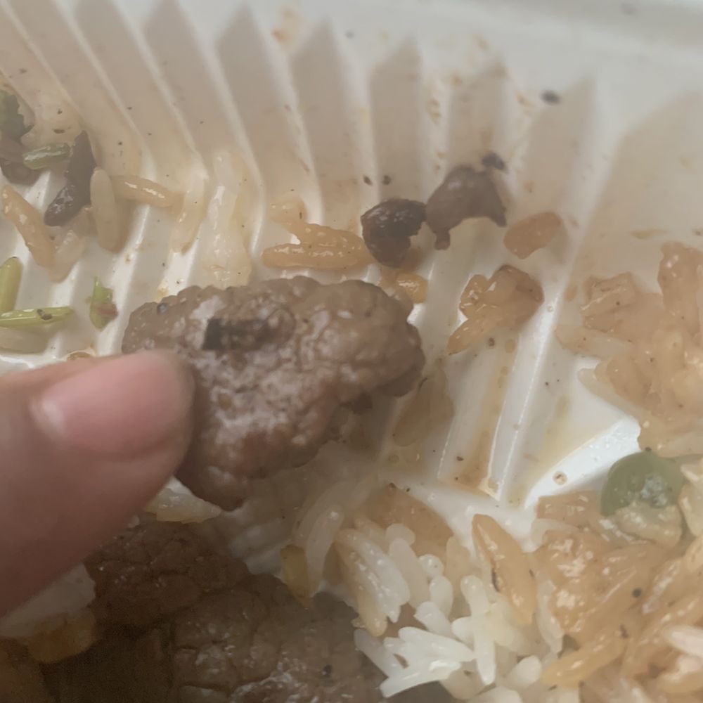 Noodle Bar - Cooked cockroach on the Beef and Broccoli. - Vietnamese Near Me - Seaside, California Noodle Bar - Cooked cockroach on the Beef and Broccoli. - Vietnamese Near Me - Seaside, California